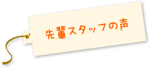 先輩スタッフの声